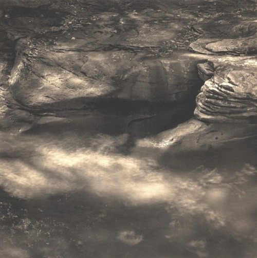 Dancing Leaves - split toned silver gelatin print. Image made near Pictured Rocks, Munising MI.