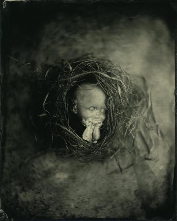 Incubated - 8x10 collodion on aluminum